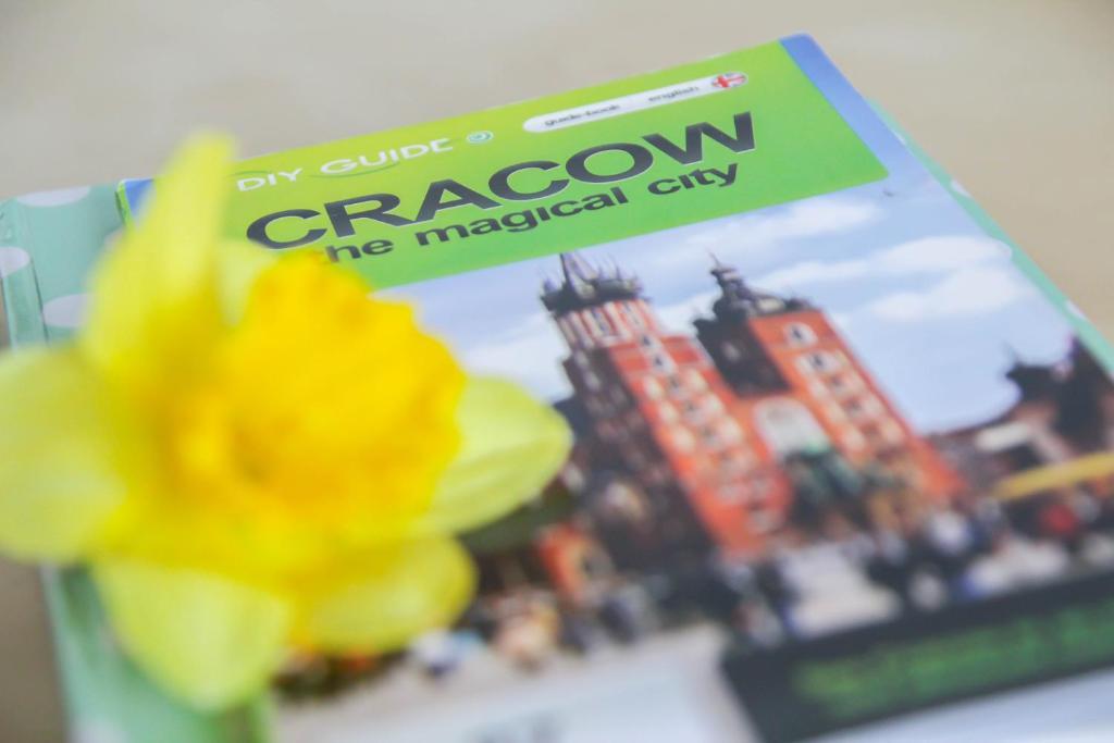 Okay House Bed and Breakfast Cracovia Camera foto